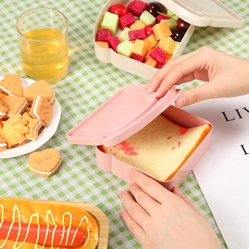 Sandwich Containers Lunch Box  - Food Storage Underground บทวิจารณ์และราคา