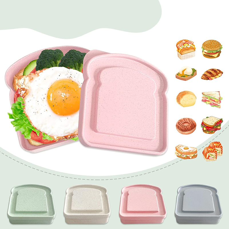 Sandwich Containers Lunch Box  - Food Storage Underground บทวิจารณ์และราคา