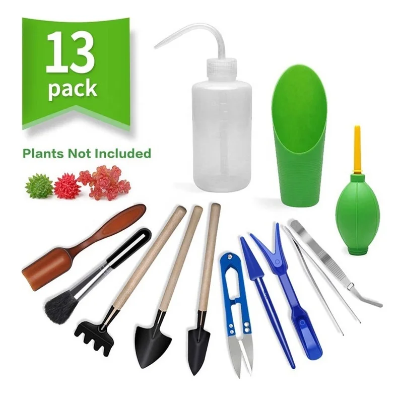 13Pcs Garden Planter Kit DIY S - Food Storage With Scoop บทวิจารณ์และราคา