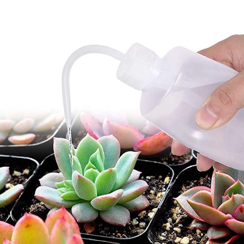 13Pcs Garden Planter Kit DIY S - Food Storage With Scoop บทวิจารณ์และราคา