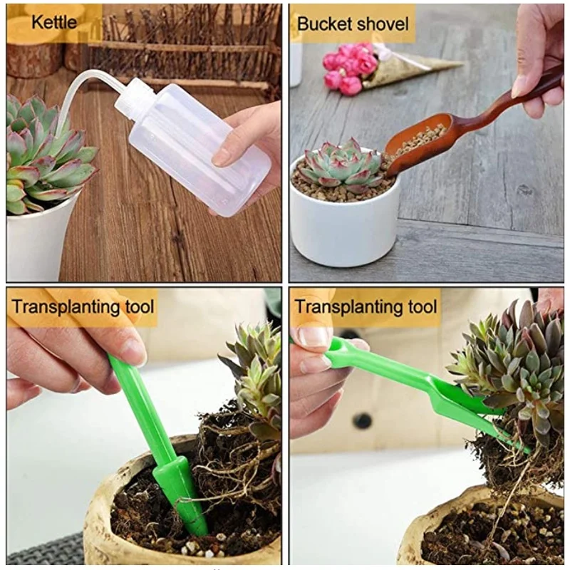 13Pcs Garden Planter Kit DIY S - Food Storage With Scoop บทวิจารณ์และราคา