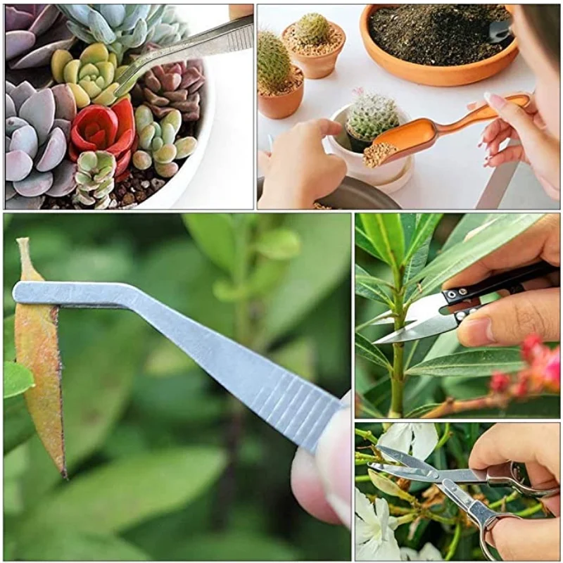 13Pcs Garden Planter Kit DIY S - Food Storage With Scoop บทวิจารณ์และราคา
