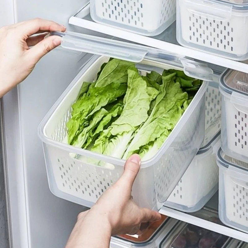 Refrigerator Storage Box, Drai - Food Storage Vegetables บทวิจารณ์และราคา