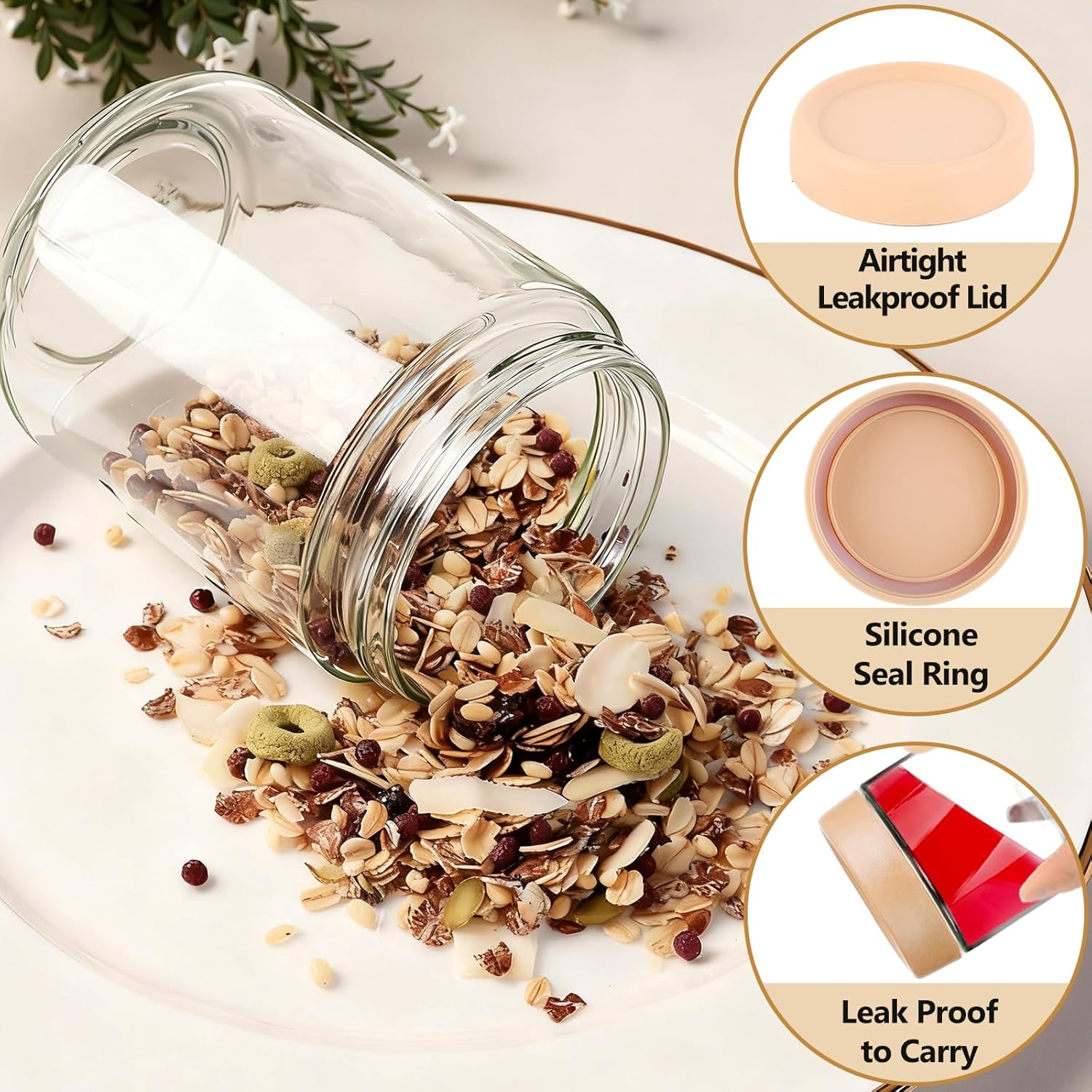12 Pack Overnight Oats Contain - Food Storage Containers Glass บทวิจารณ์และราคา