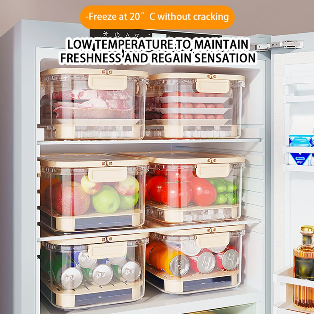 Portable Food Storage Containe - Food Storage Box Large บทวิจารณ์และราคา