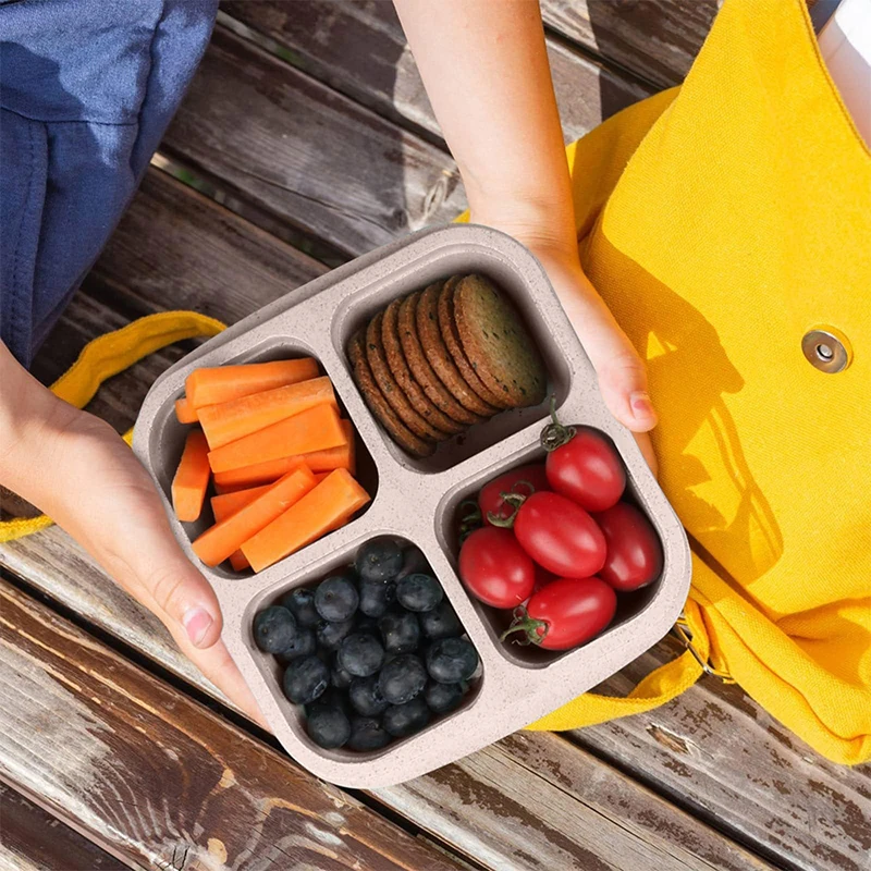 4 Grids Food Storage Box Porta - Food Storage Vegetables บทวิจารณ์และราคา